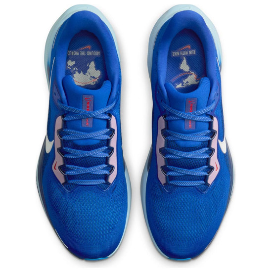 Nike Air Zoom Pegasus 41